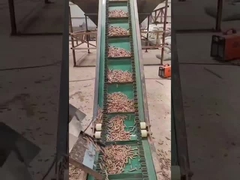 Maszyna do pelletu drzewnego 50HZ 3-fazowa pionowa maszyna do produkcji pelletu 450-700 mm