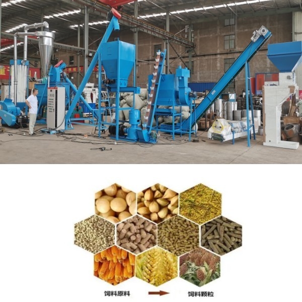 Kurczak Wołowina Owce Mączka drobiowa Linia do produkcji pelletyzatorów Linia do produkcji pelletów paszowych