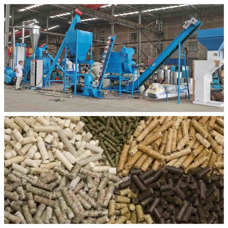 Linia do produkcji pelletu paszowego o wydajności 1000 kg/h. Granulator granulatu paszowego 1-12 mm