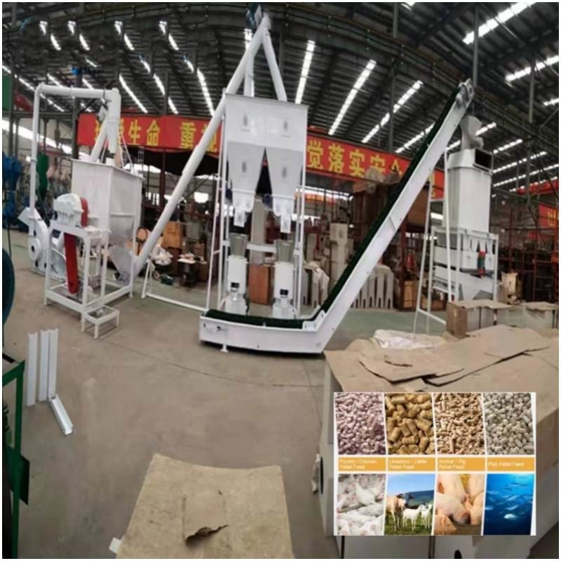 Linia do produkcji pelletu paszowego dla gospodarstw rolnych 20 ton / h Kompletna maszyna do produkcji paszy dla bydła