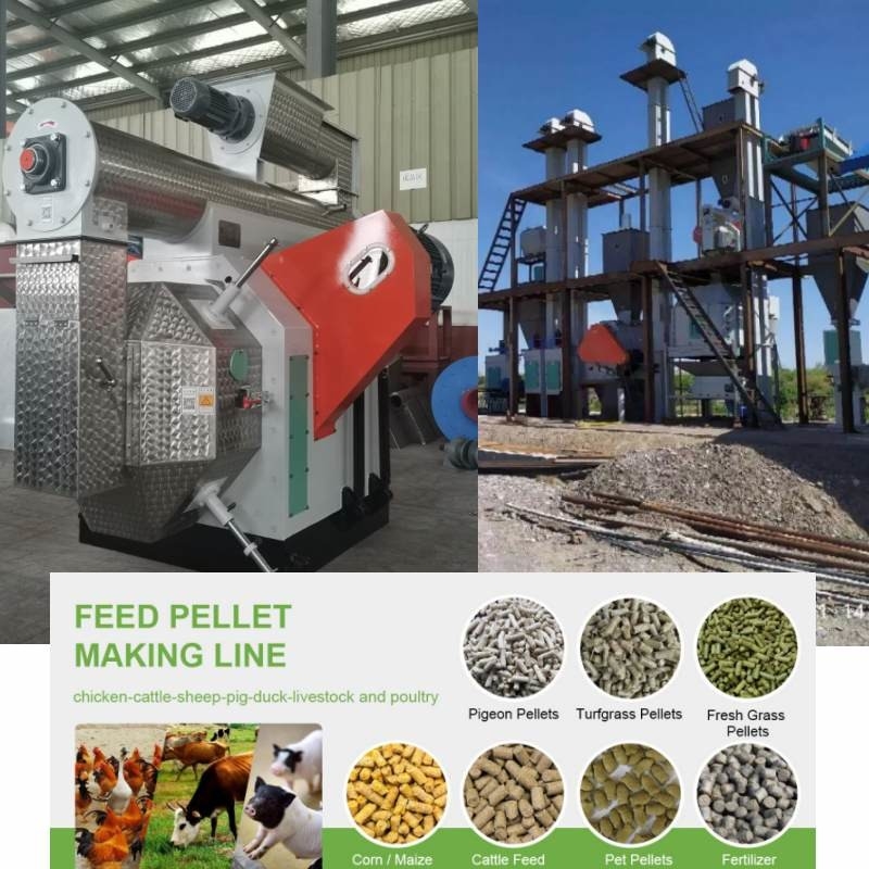 Maszyna do mielenia pelletu od 100 kg do 10 ton Linia do produkcji pelletu paszowego dla zwierząt Paliwo z biomasy