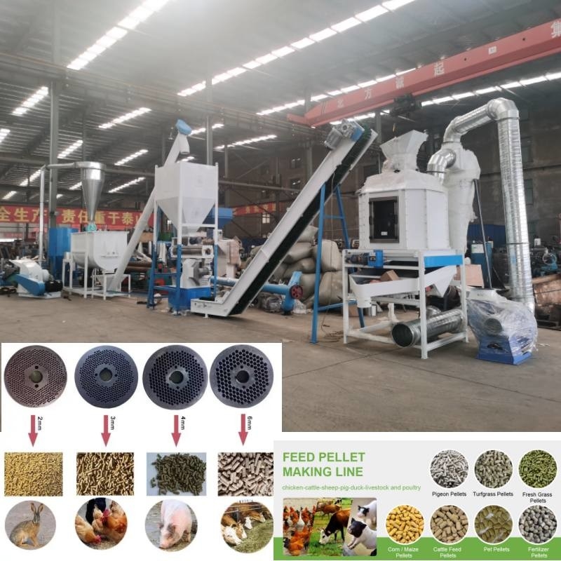Linia do produkcji pelletu paszowego o wydajności 2 ton na godzinę do karmienia drobiu