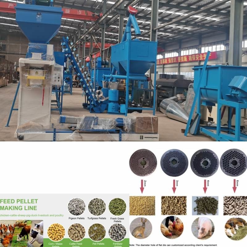 Linia do produkcji pelletu paszowego o wydajności 2 ton na godzinę do karmienia drobiu