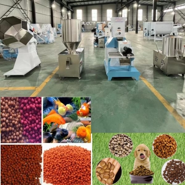 Maszyny do przetwarzania karmy dla zwierząt domowych Maszyna do karmy dla psów Pływająca linia do produkcji paszy dla ryb Jakość Maszyna do przetwarzania paszy dla zwierząt