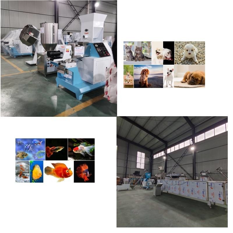 Automatyczna linia produkcyjna do wytłaczania paszy z wytłaczarką 50 kg / h do 5000 kg / h