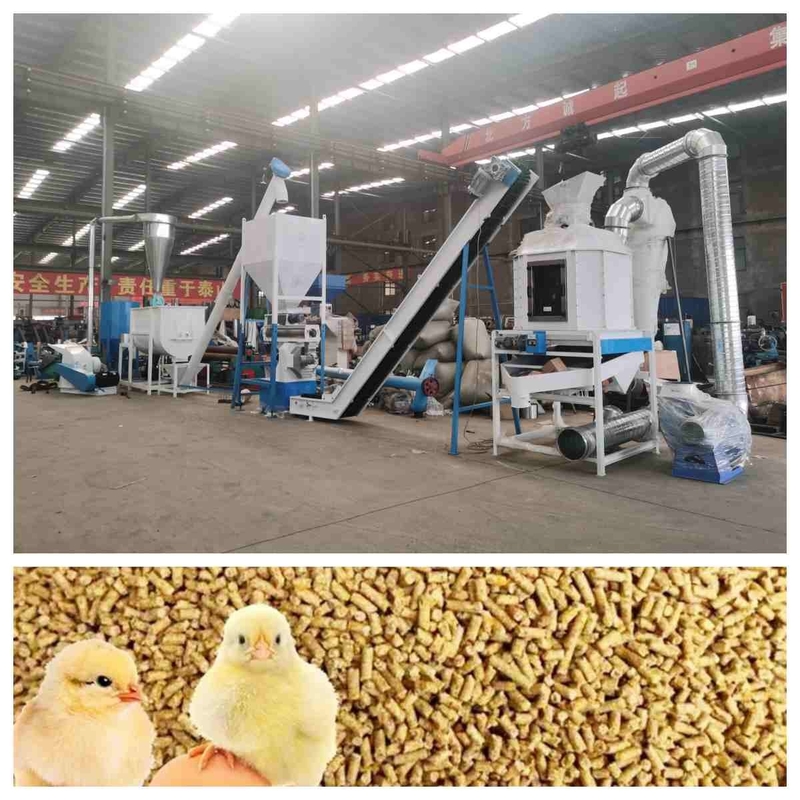 Linia do produkcji pelletu paszowego CE Maszyna do peletowania z matrycą pierścieniową 5t/H z generatorem pary