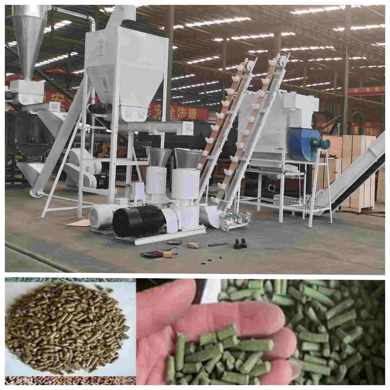 Automatyczna maszyna do pelletu drobiowego 2ton/h Maszyna do produkcji pelletu 2,5 mm do paszy dla drobiu