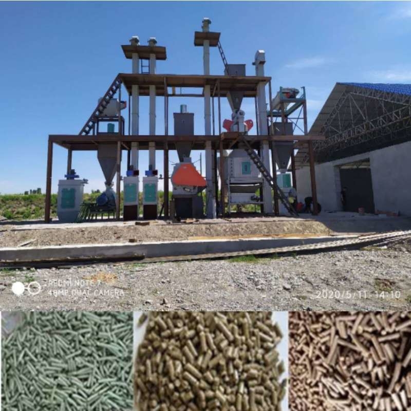 Linia do produkcji pelletu paszowego CE dla zwierząt Pierścień matrycowy 1-10 TPH Maszyna do pelletu paszowego dla królików