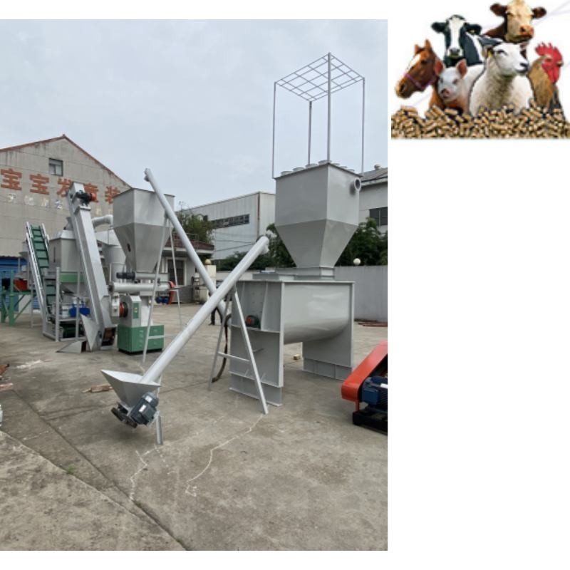 Linia do produkcji pelletu paszowego o wydajności 500 kg/h Matryca pierścieniowa Młyn do pelletu paszowego dla drobiu Pasza dla zwierząt