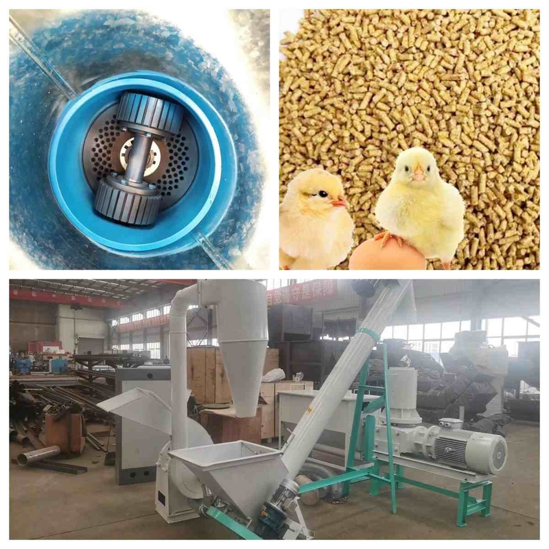 Maszyna do produkcji pelletu z płaską matrycą 300kg / H -1000Kg / H Linia do produkcji pelletu paszowego dla małych zwierząt