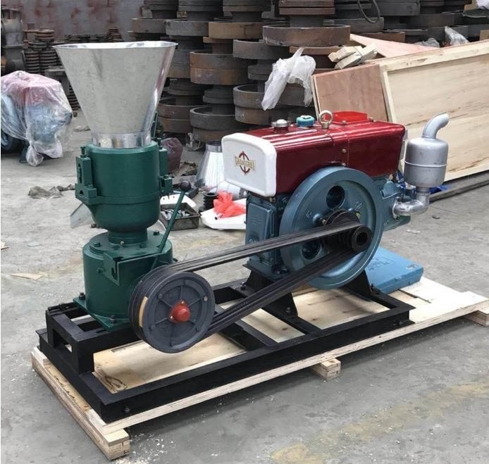22HP pasz pellet Mill Kolor dostosowanie do paszy dla kurczaków
