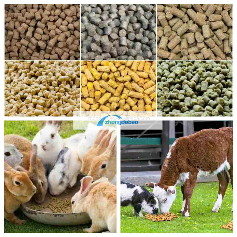 Nowa generacja maszyny do produkcji pasz dla zwierząt maszyna do produkcji peletów pasz dla ryb 90-120 KG/h