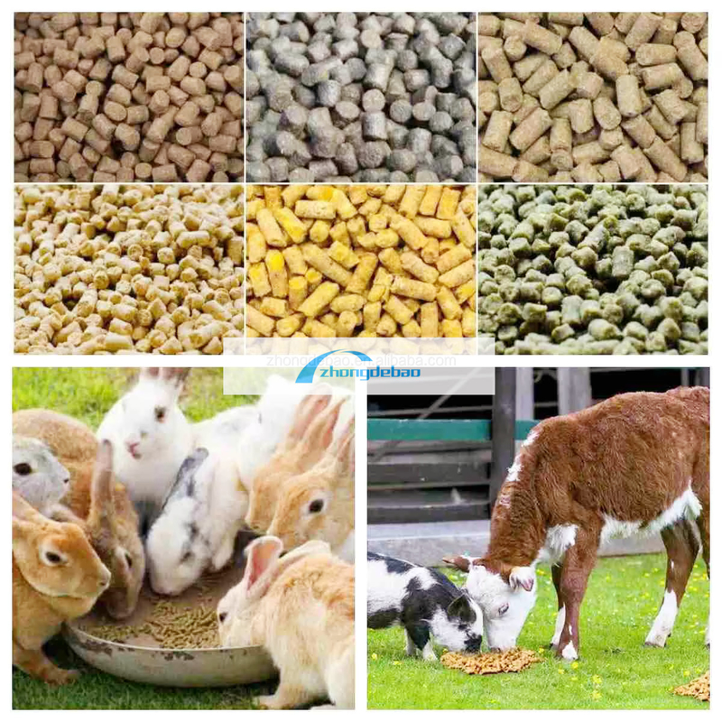 600-800 KG/h wydajność ryb zwierzęce, zwierzęce, zwierzęce, zwierzęce, zwierzęce, zwierzęce, zwierzęce