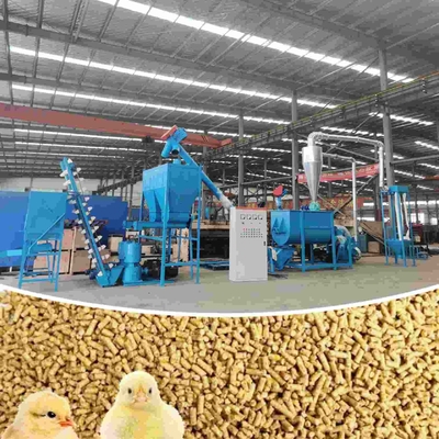Linia do produkcji pelletu paszowego o wydajności 1000 kg/h Maszyna do produkcji paszy dla drobiu